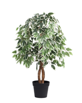 Artificial Variegated Ficus Tree 120cm (4ft)